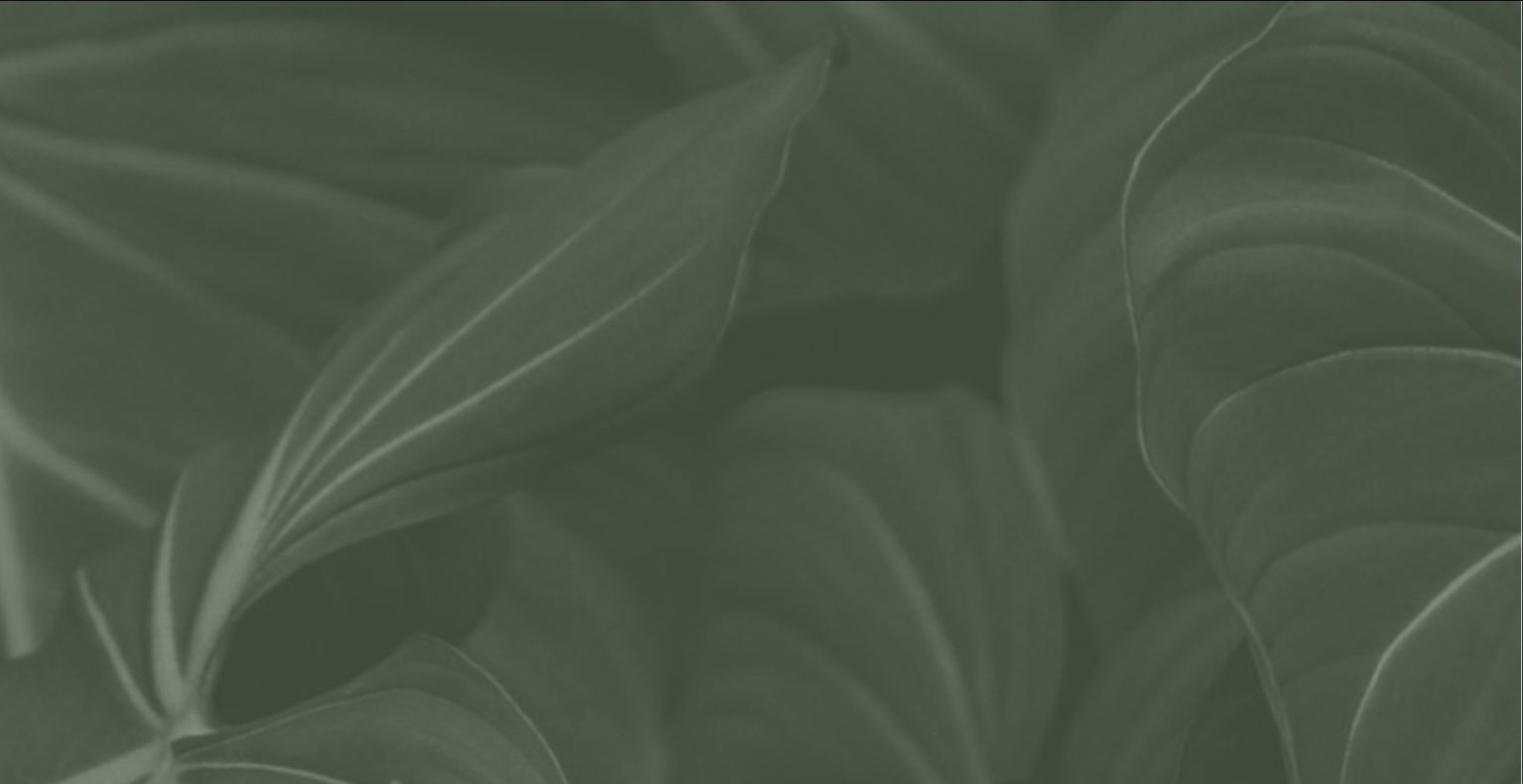 Leaf 16