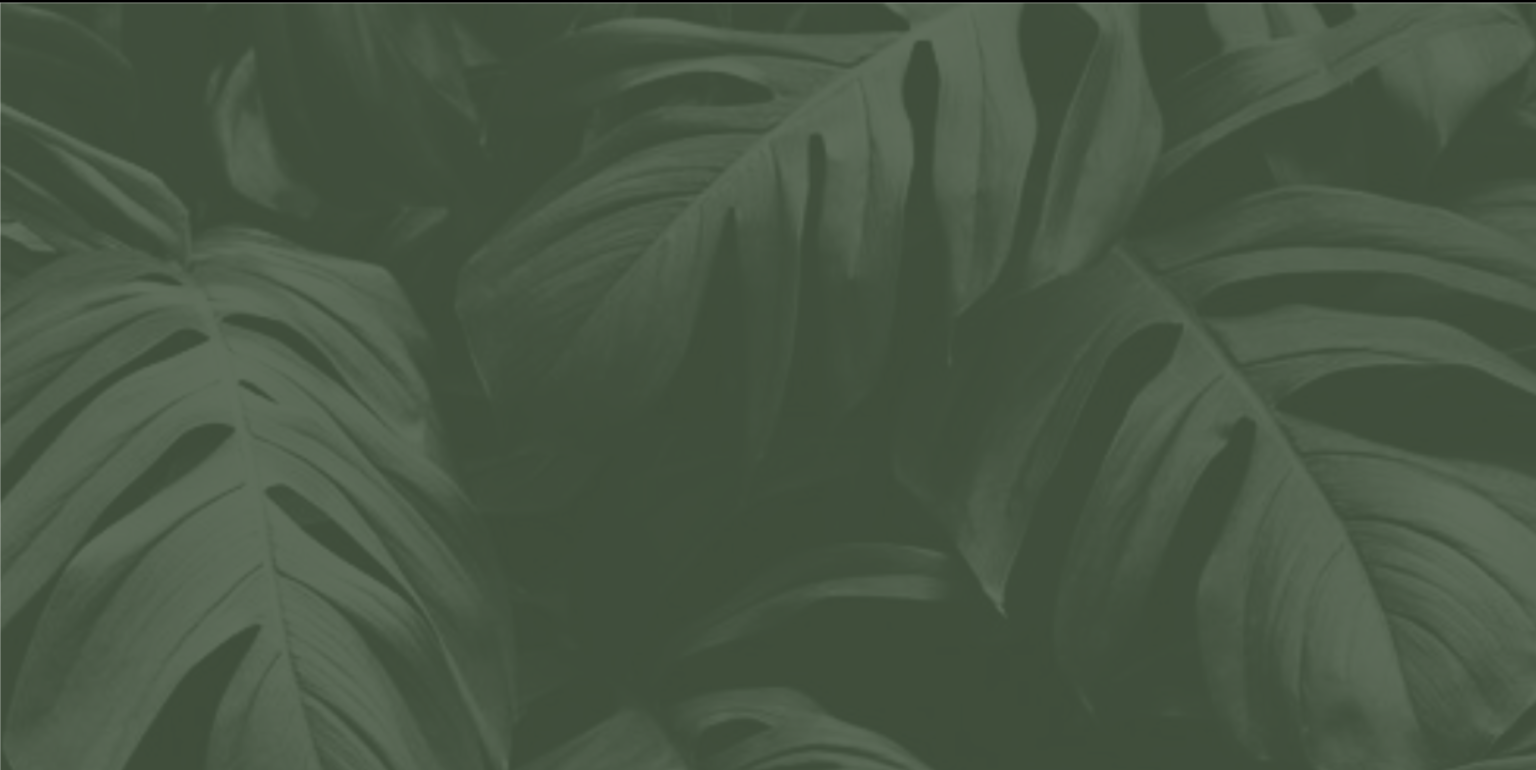 Leaf 5