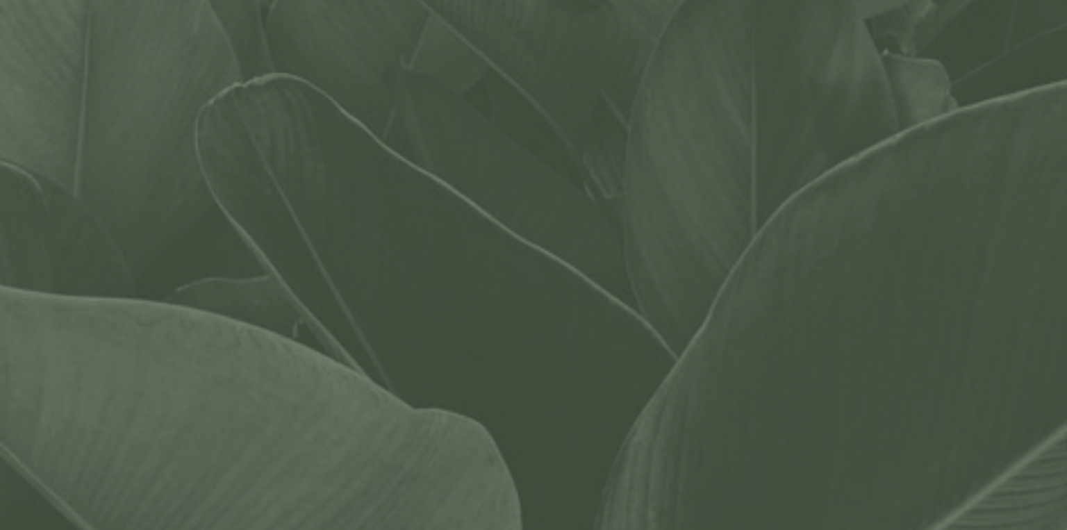 Leaf 7