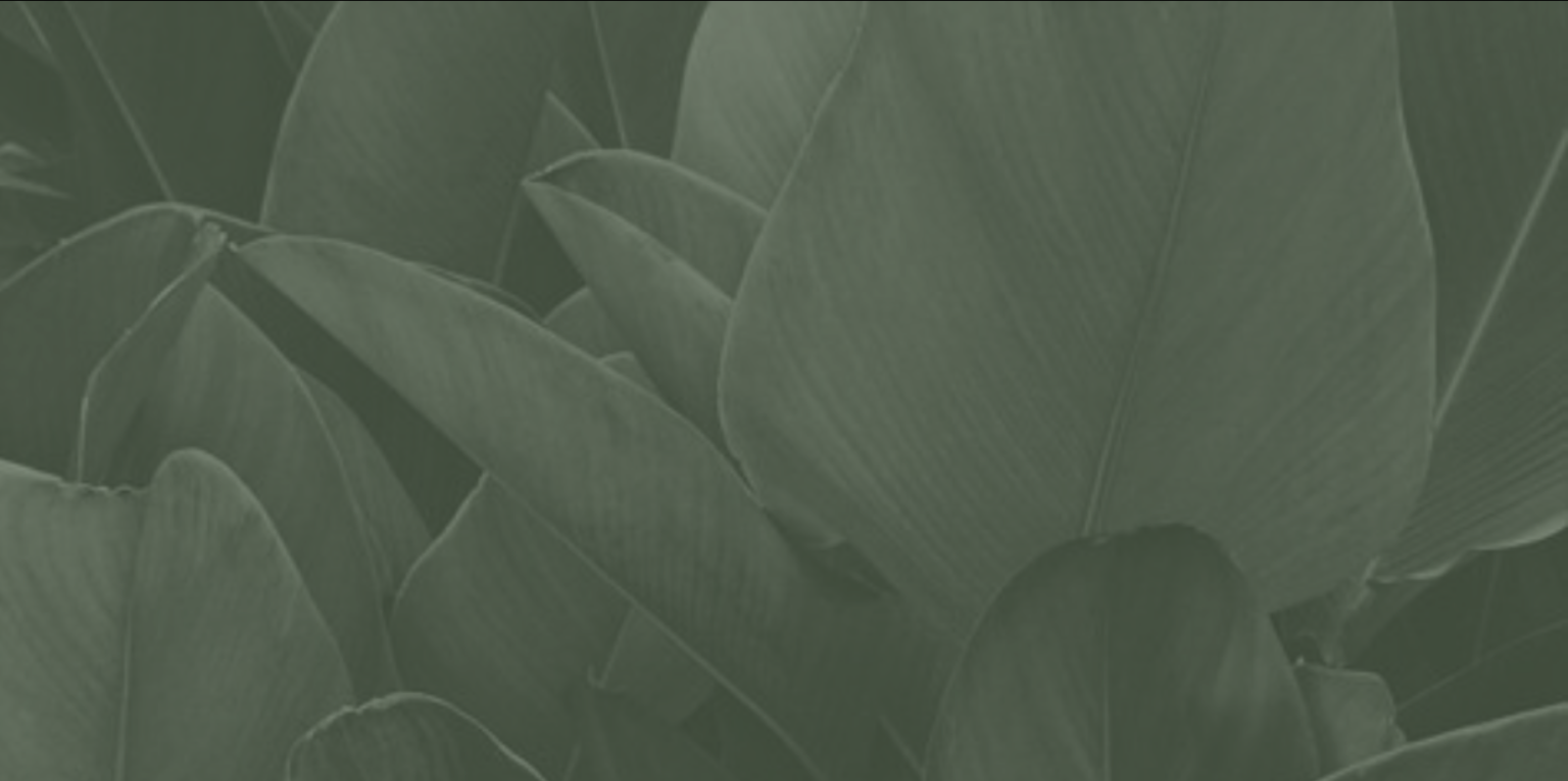 Leaf 1