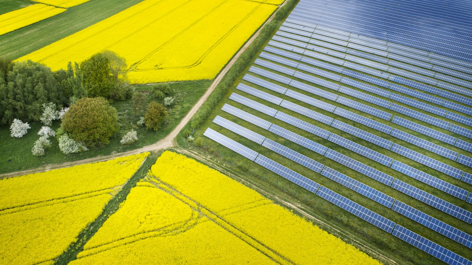 Canola fields and solar power plant in springtime