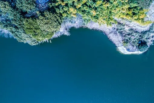 Coast and forest.